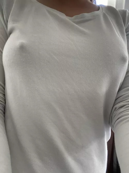 they say hi