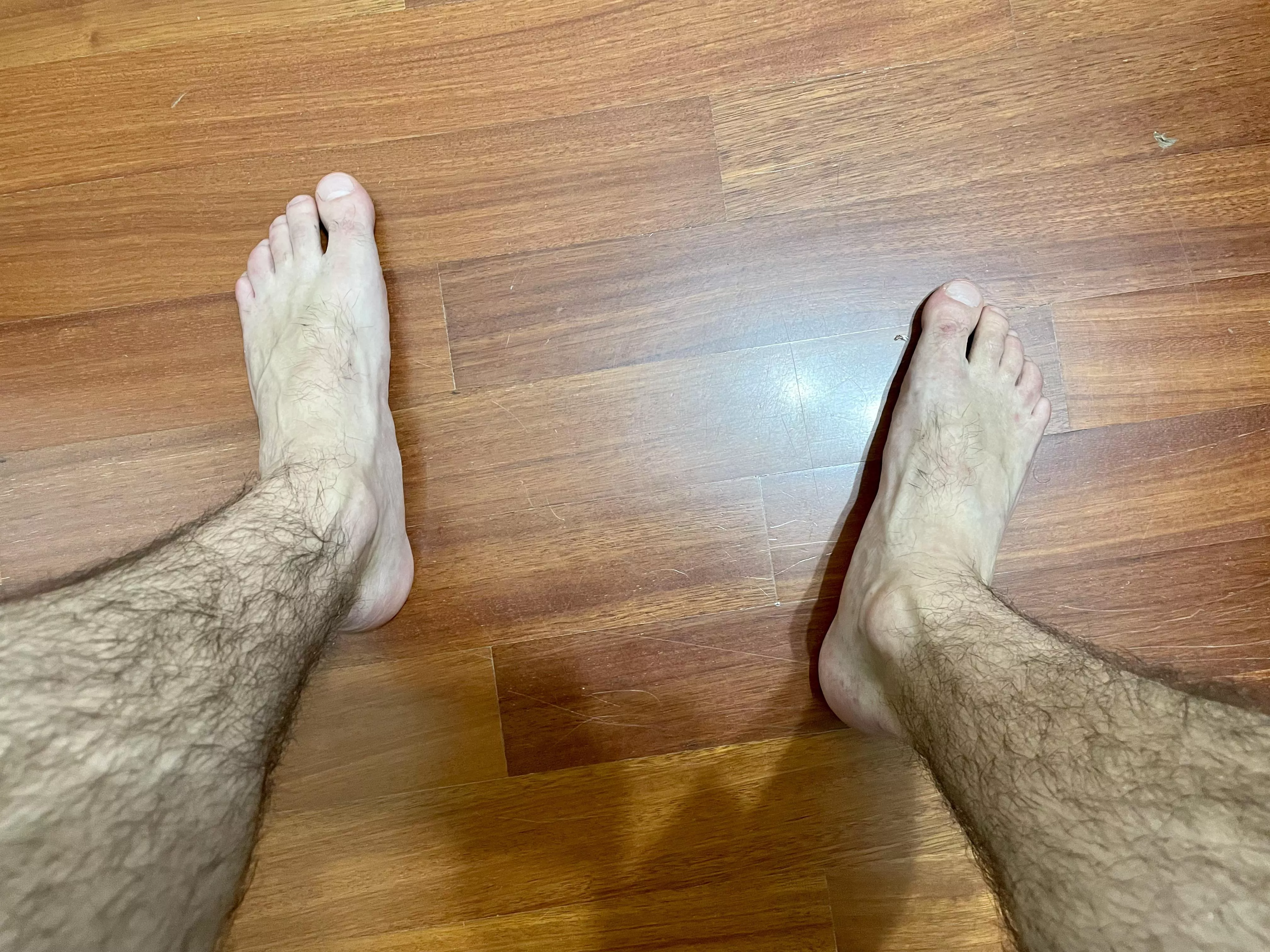 They will be your constant thought