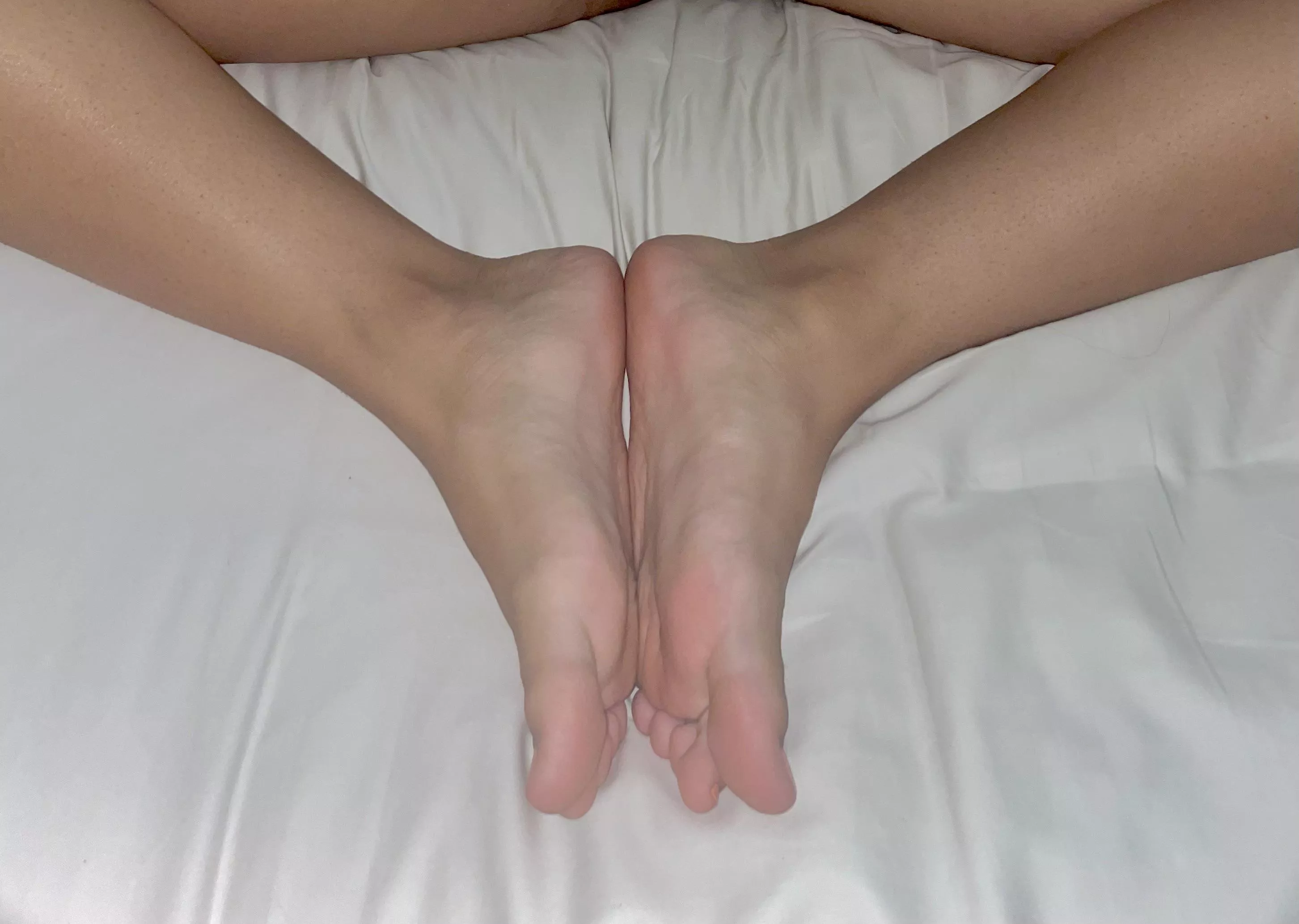 theyβre as soft as they look π£π theyβre as soft as they look π£π