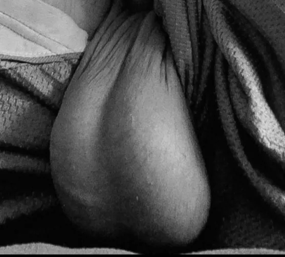 They’re bigger than the eggs in my frig They’re bigger than the eggs in my frig