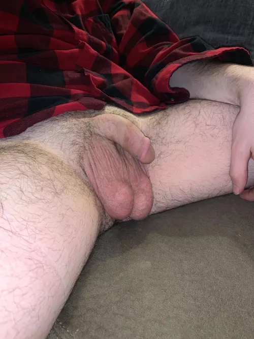 They’re not trying to escape, that’s just how they hang