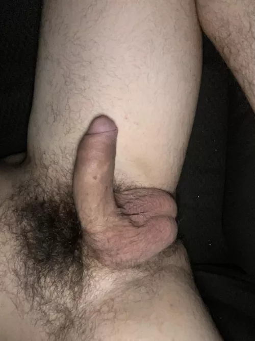 Thick cub