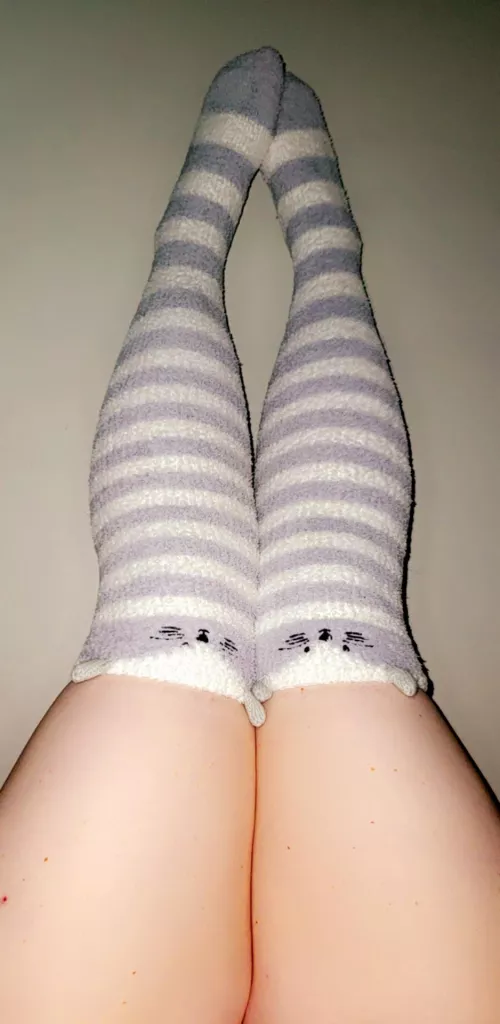 Thick kitty in some kitty socks?????