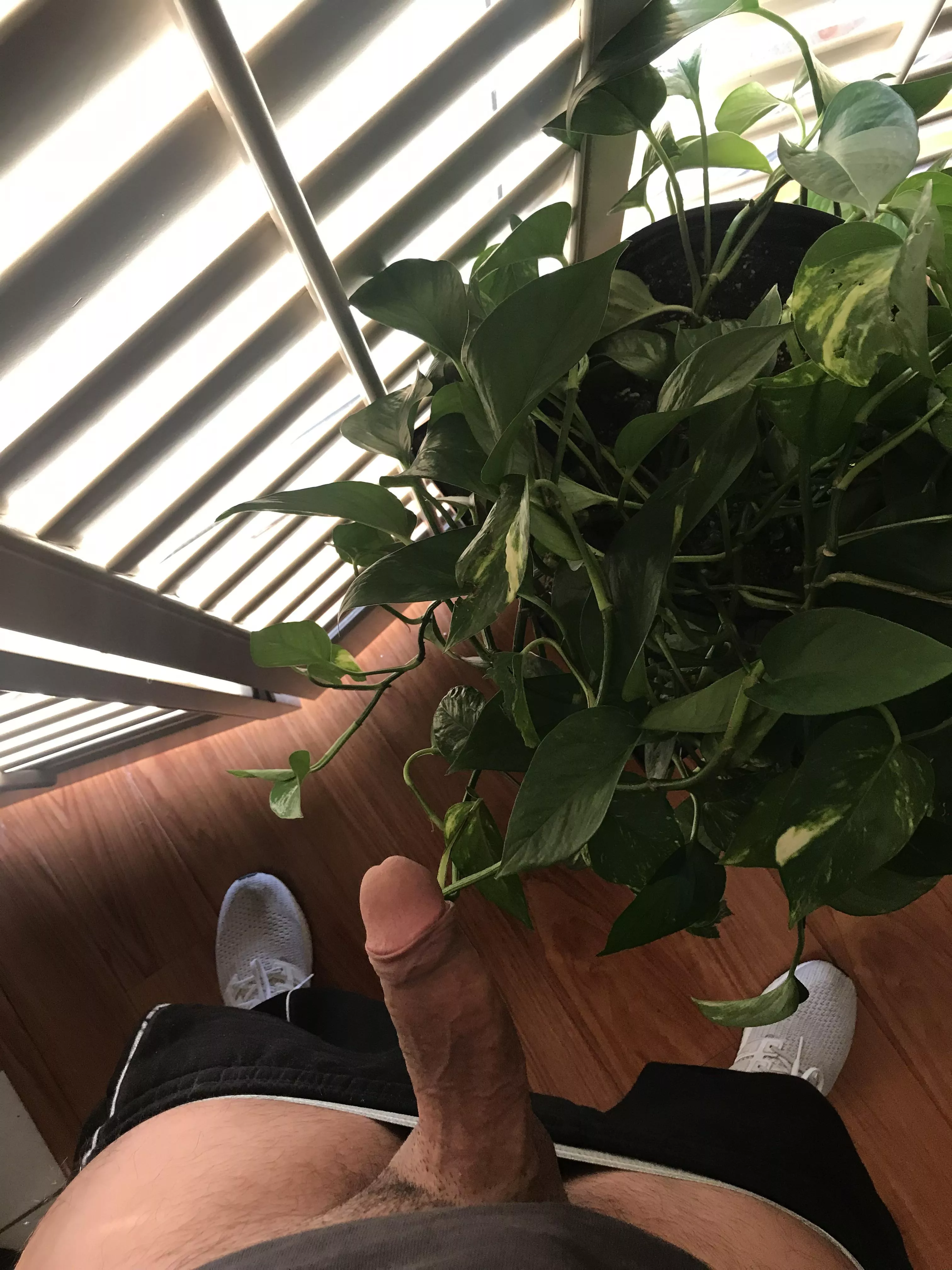 Thick thighs, Thick dick