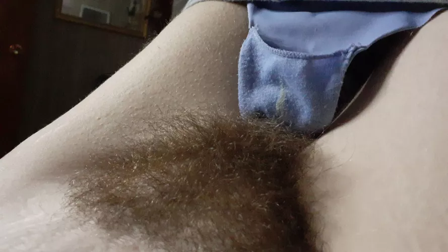 Thickest bush you'll ever see