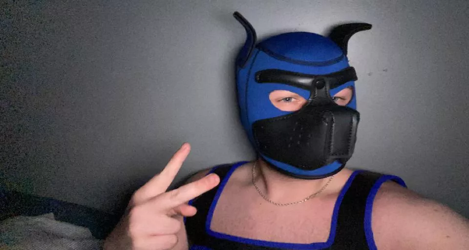 this beta college pup is looking for an alpha pup! dm me if you’re interested! also taking suggestions for a name