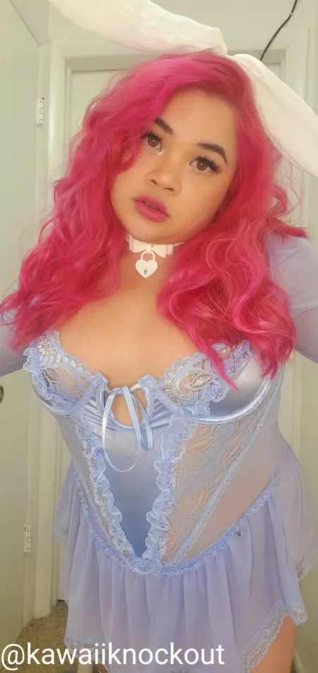 This bunny is looking for a 🥕