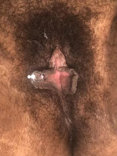 This butterfly is in a bush, resting after an orgasm π