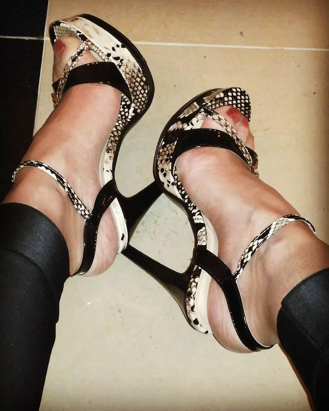 This evening's first pair This evening's first pair