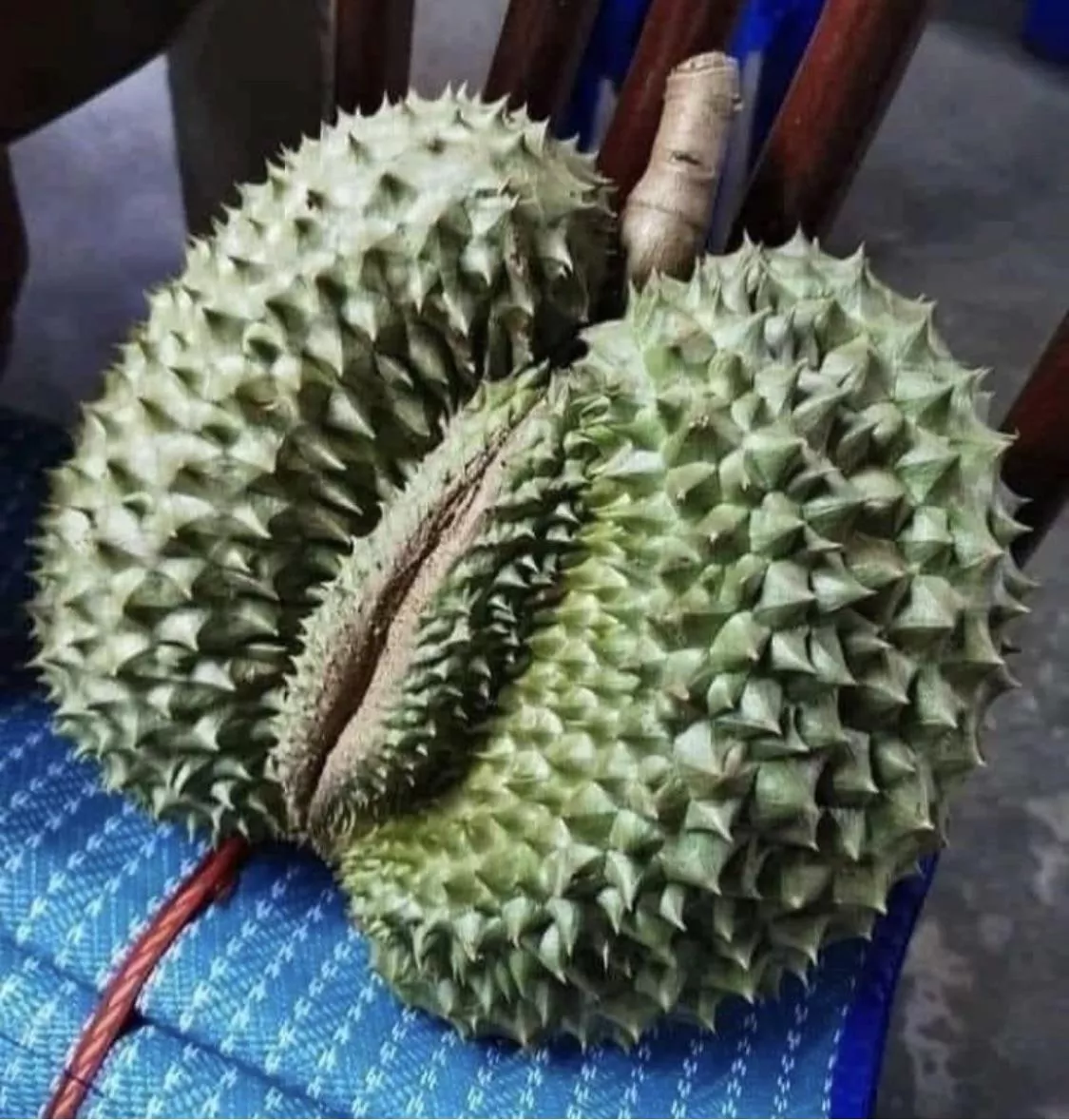 This fruit looks like a lady ass. This fruit looks like a lady ass.