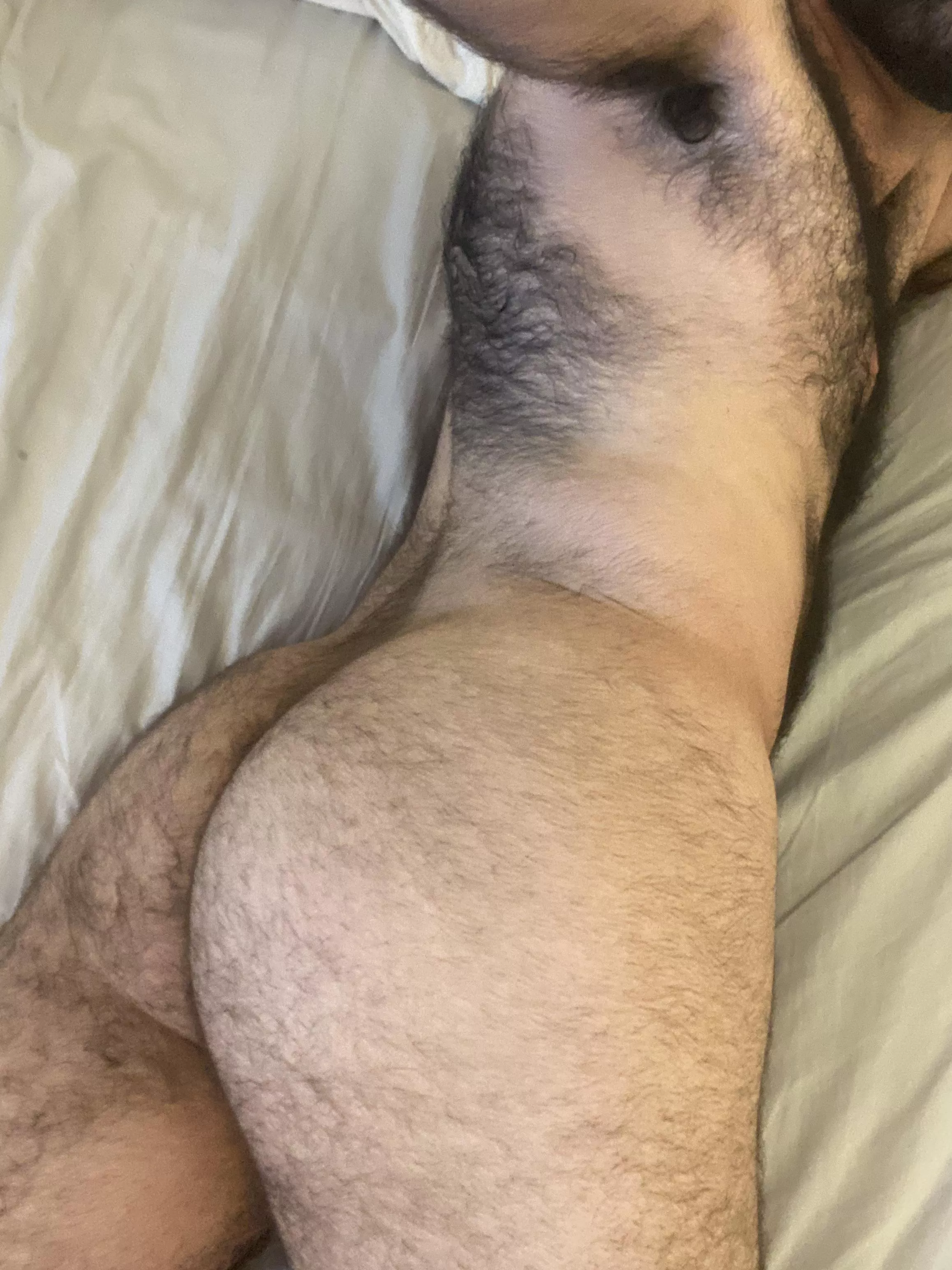 This furry ass needs to get taken care of This furry ass needs to get taken care of