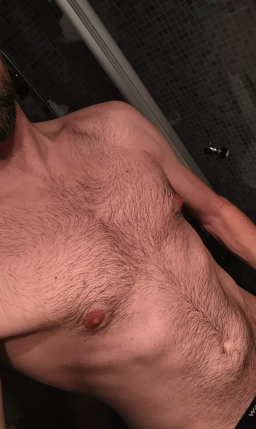 This is my chest, I don't know if it's the best. But I thought I'd share with you all, hopefully it doesn't appall. So please enjoy my hairy tits, can't think of another good rhyme so I'll just call it quits. Peace ✌️