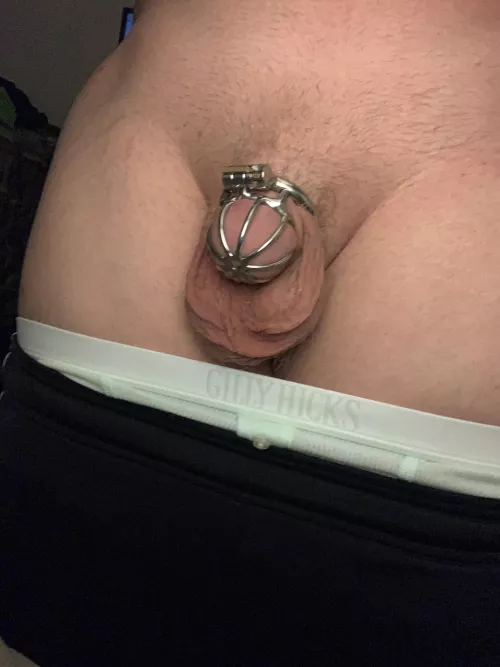 This is the smallest cage Iβve been able to get my clitty inπ€€