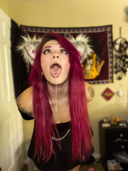 This kitten has missed you ππππ more content will be coming soon