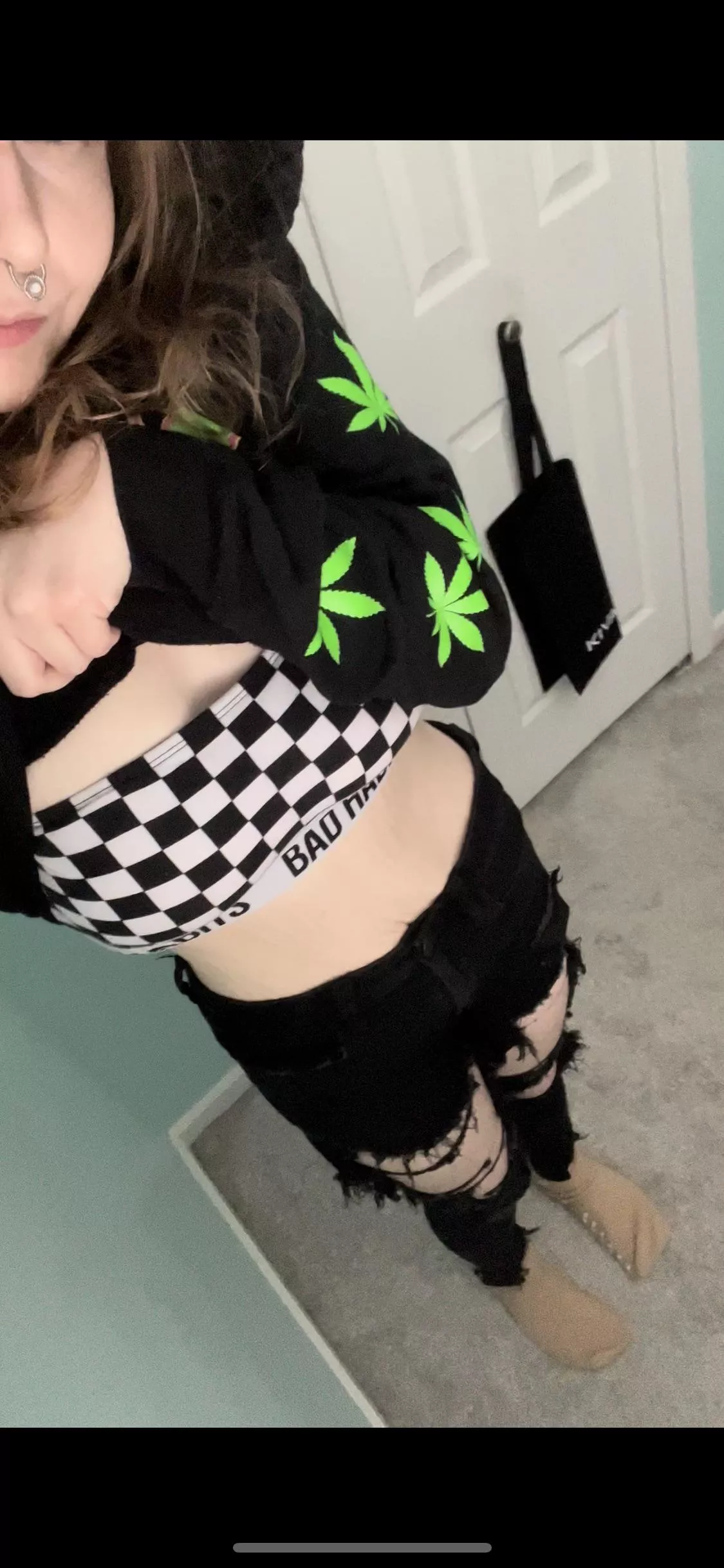 This kitten loves catnip =^-^=