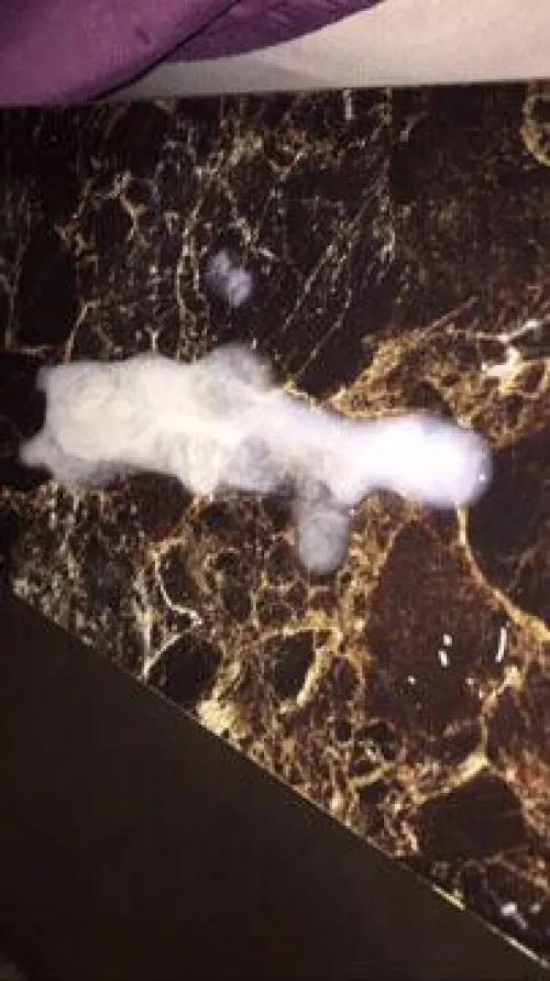 This load was the type to ooze out of my cock