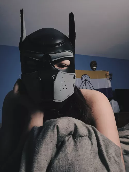 This pup is bored 😴