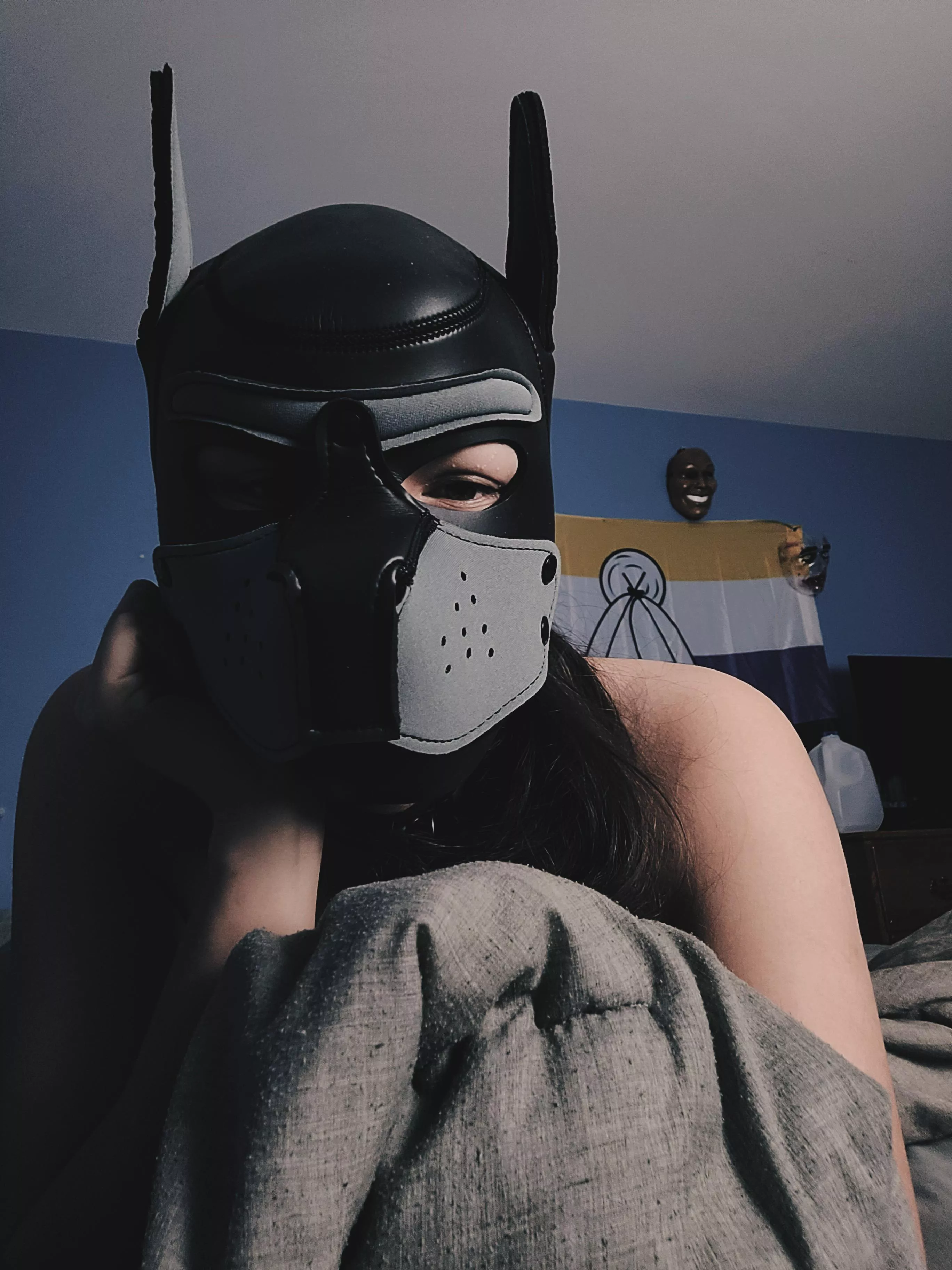 This pup is bored 😴