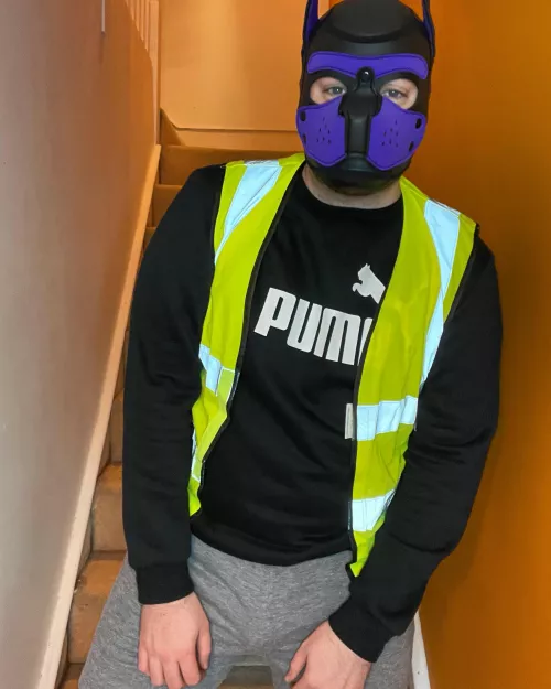 This pup is ready for the weekend, are you?. If you have instagram please follow me @pup.spencer. πππ This pup is ready for the weekend, are you?. If you have instagram please follow me @pup.spencer. πππ