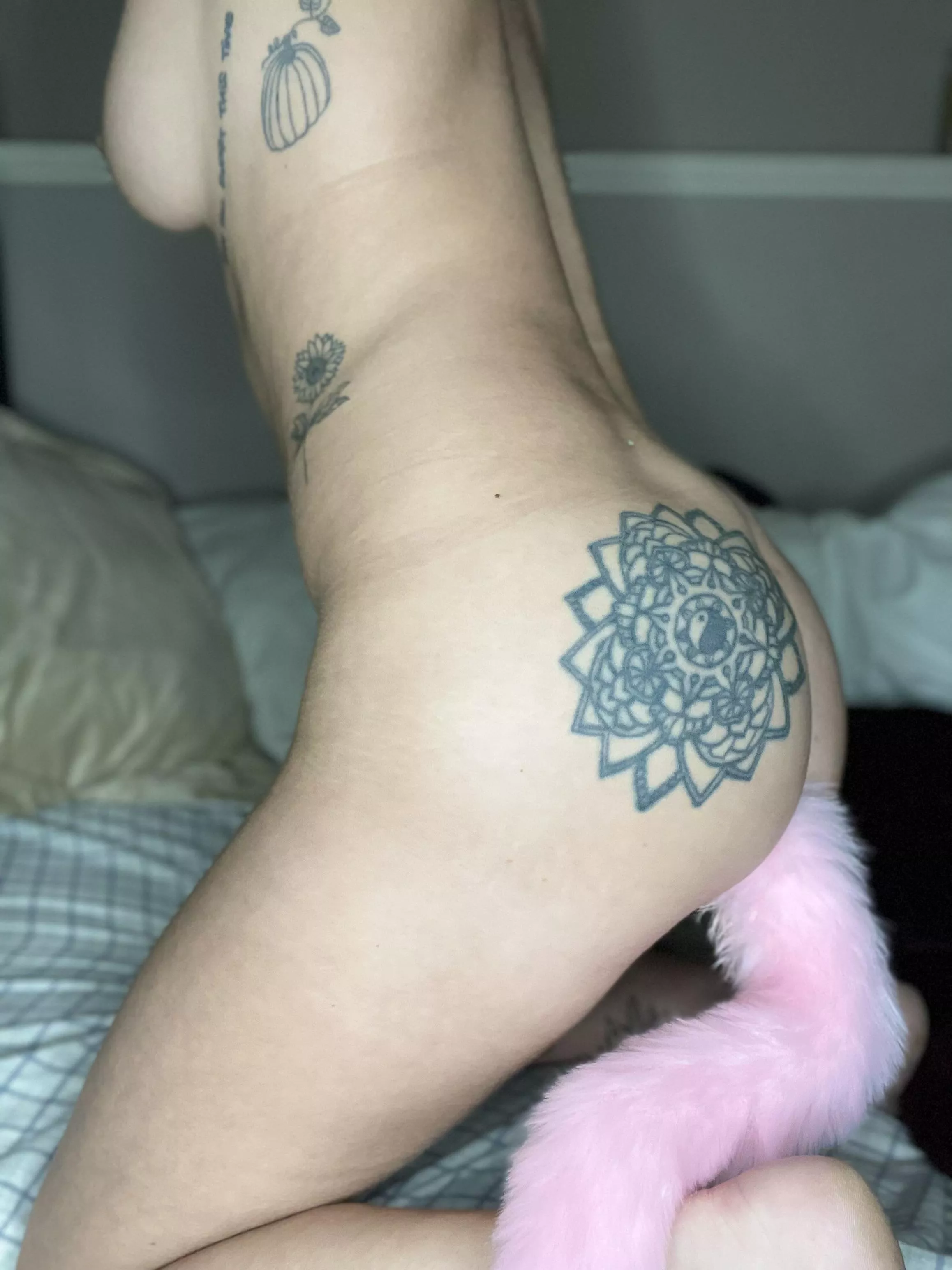 this tail plug makes me feel so cute :) this tail plug makes me feel so cute :)