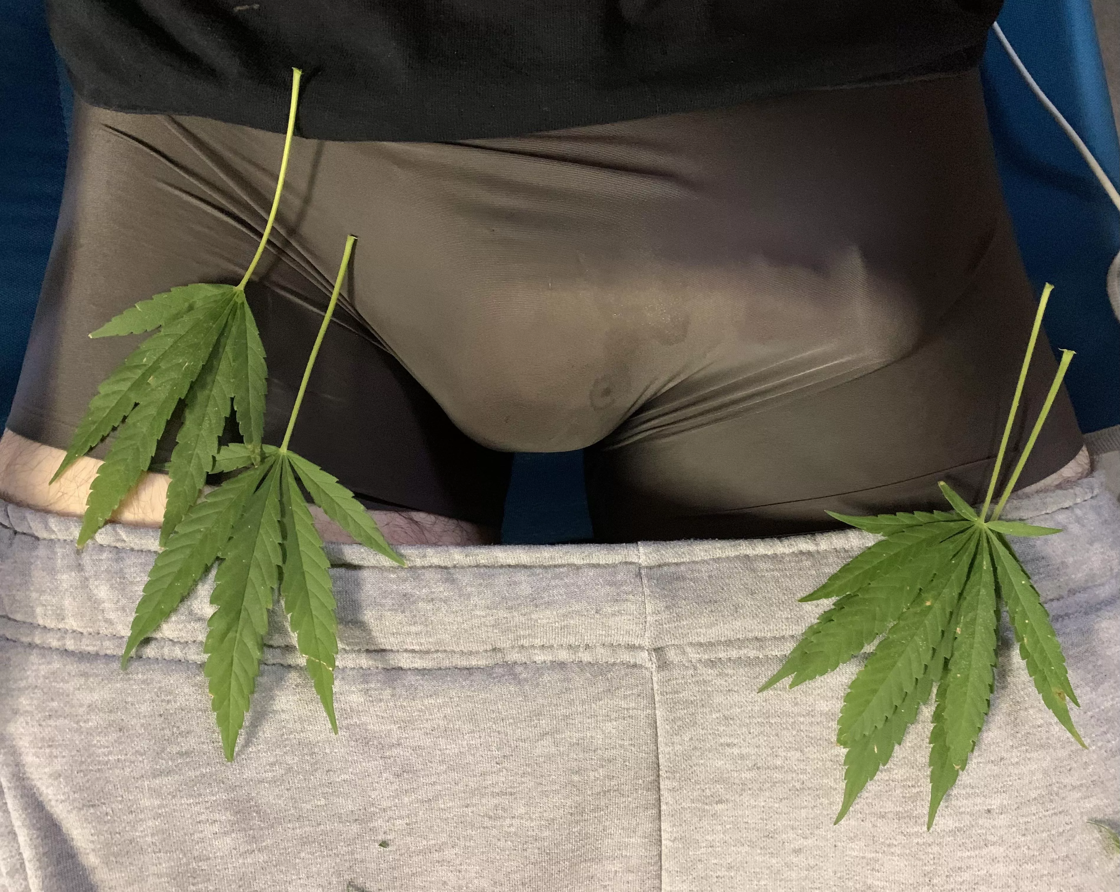 This underwear doesn’t really hide any of the details… This underwear doesn’t really hide any of the details…