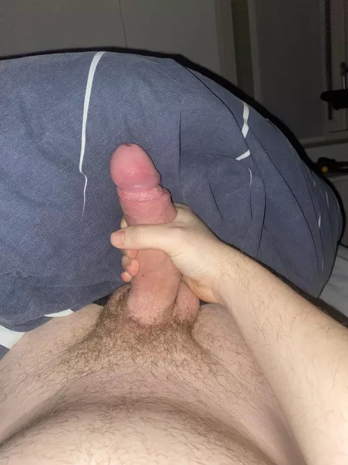 This virgin cock needs a home, will you give it one?