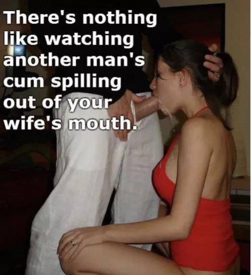 This would have been great to watch when my wife went to ply solo