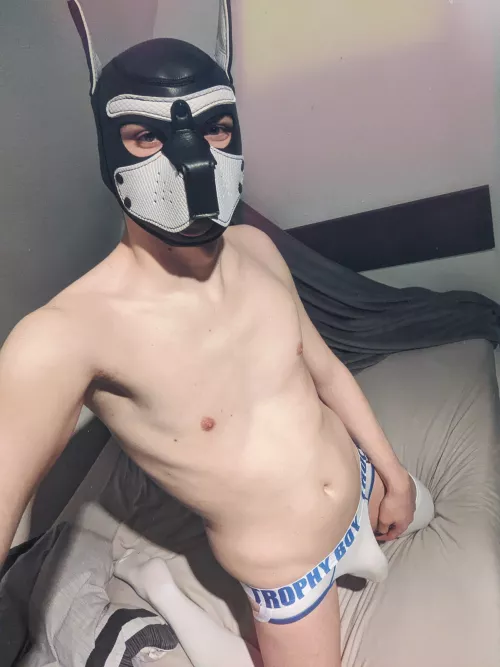 this wuff has presented his puppy self and his bulge to wish you all the best for 2022 🐺💕 (twitter: @nickthecanine)