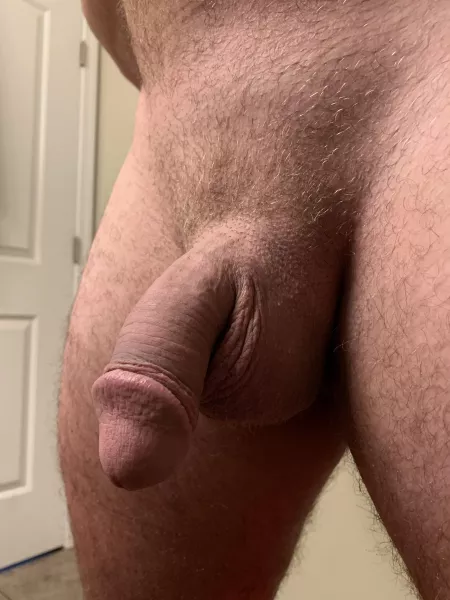 Thoughts? Thoughts?