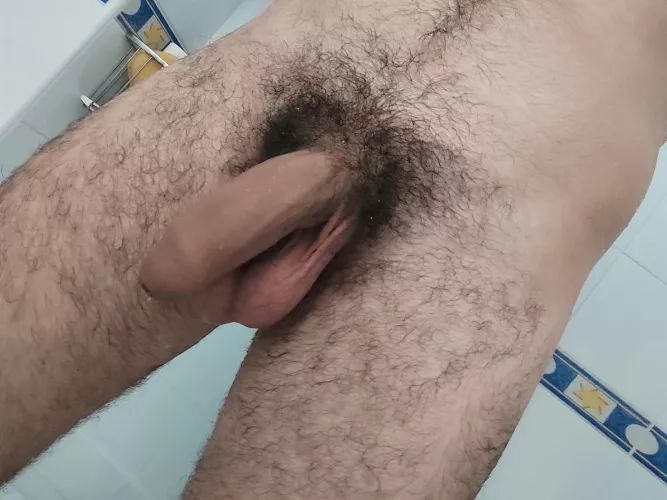 Thoughts?
