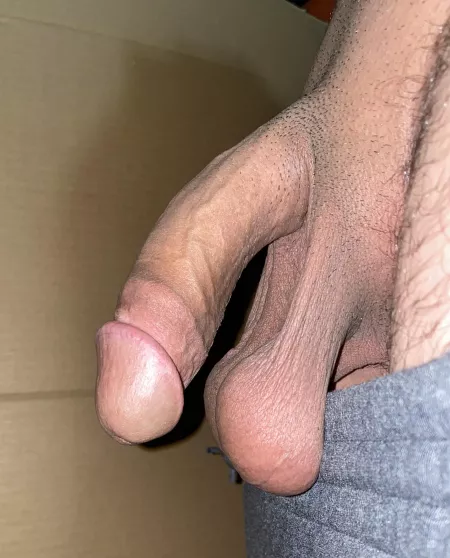 Thoughts on daddy and his fat balls? ๐