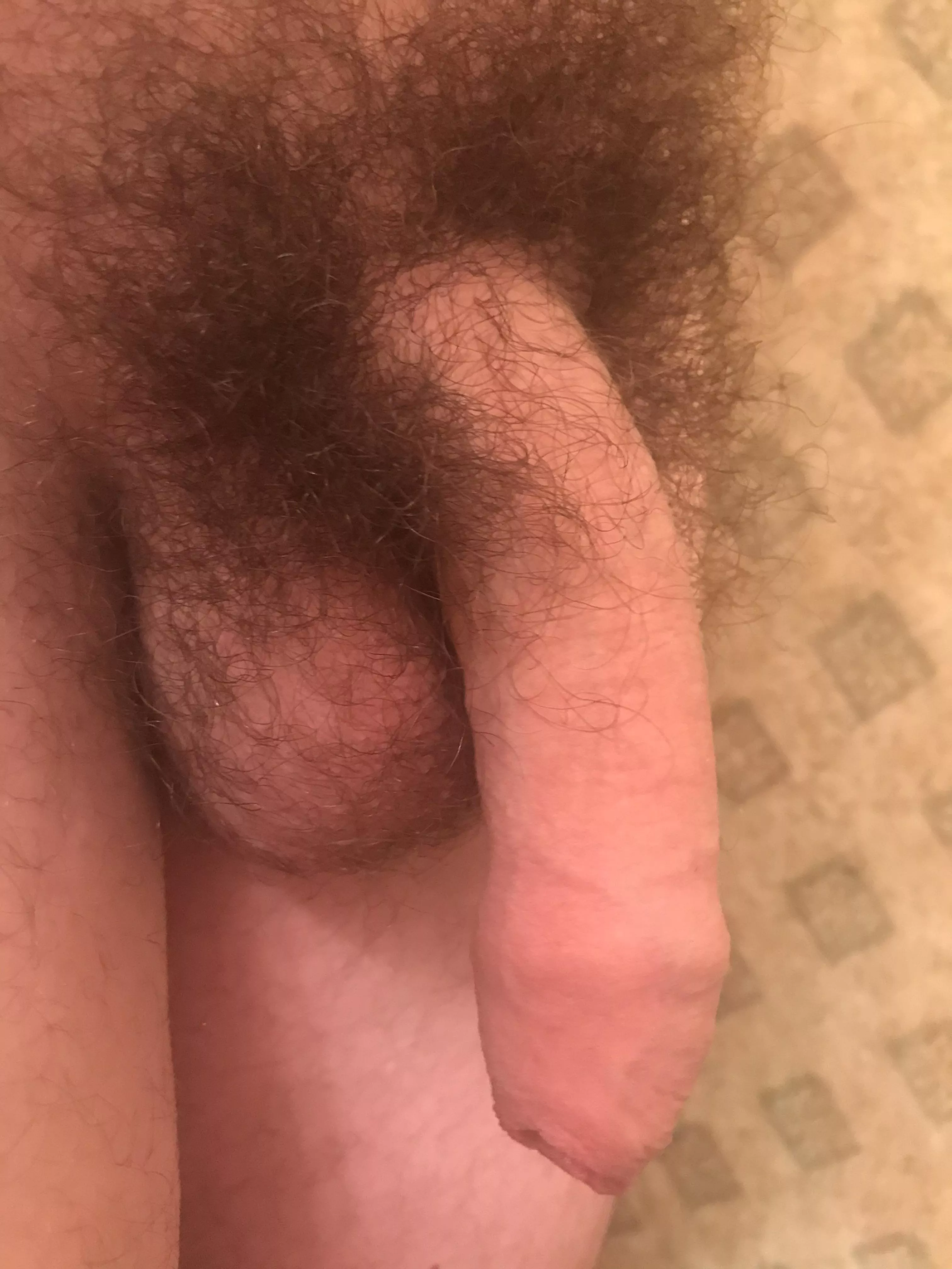 Thoughts on my foreskin? Thoughts on my foreskin?