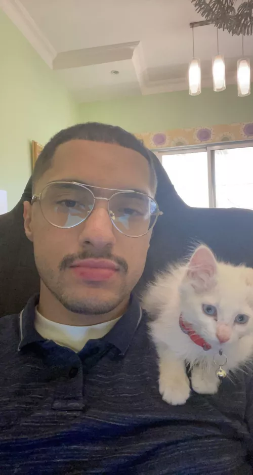 Throwback to when my cat was a baby