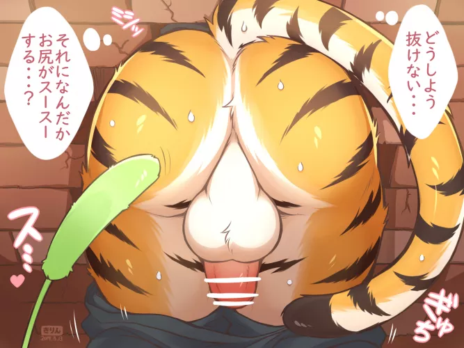 Tiger ass (giraffe) Tiger ass (giraffe)
