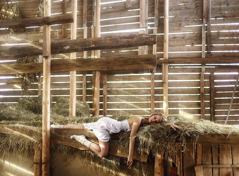 Tiger in the tree Tiger in the tree