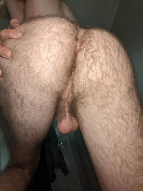 Tight British arse, who would eat it out ?