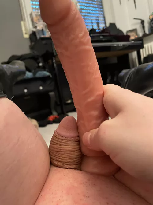 Time for my cage Time for my cage