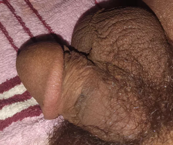 Tiny and cute, yummy too [24]