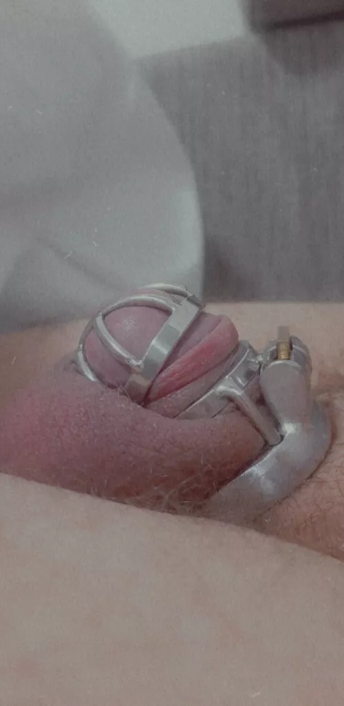 Tiny clitties must be lockedπ€π