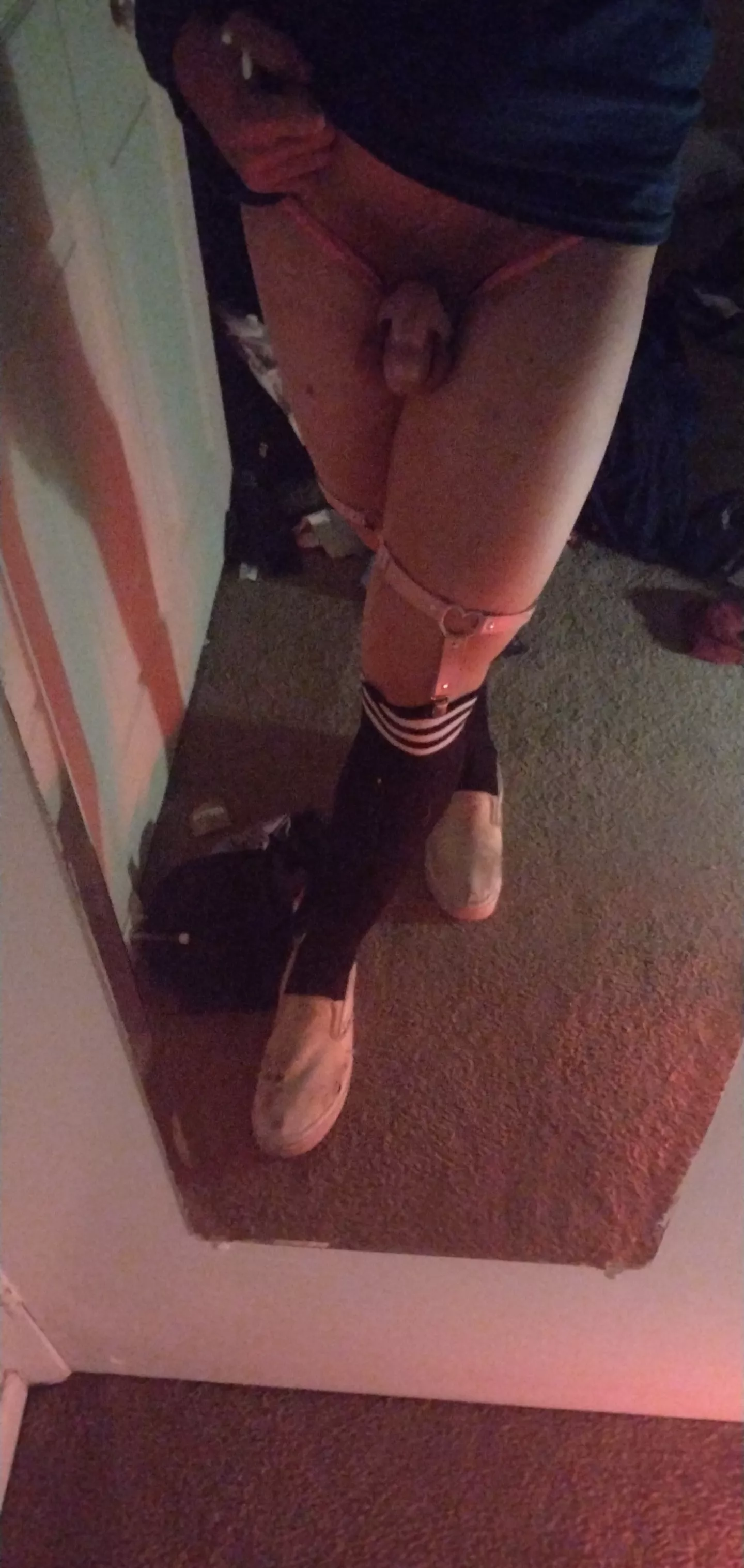 Tiny locked and pathetic Tiny locked and pathetic