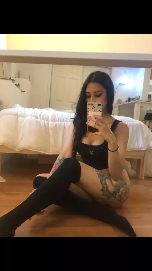 Tip notifs + my vibrator = wettest i get I swear