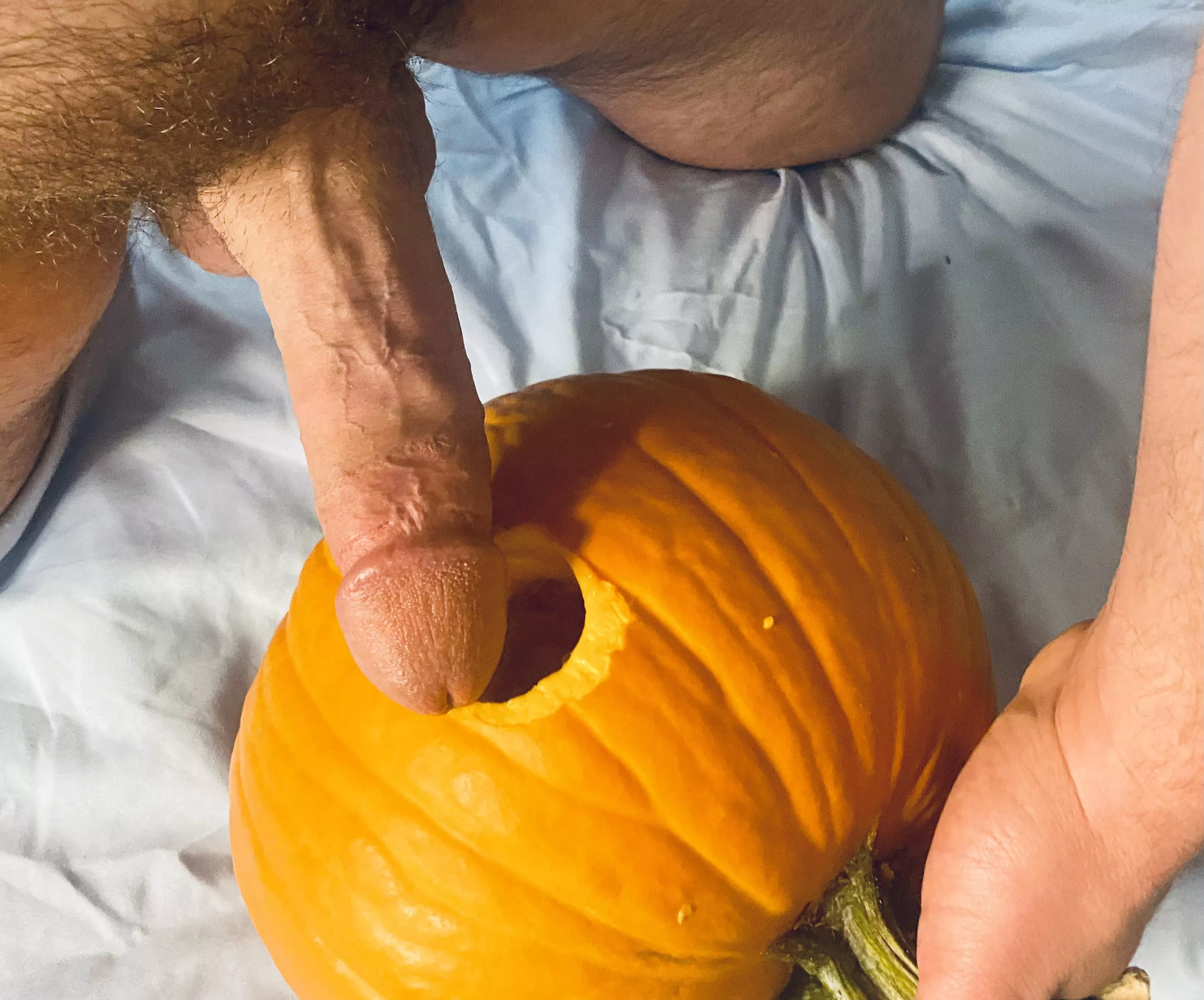 Tis the season for pumpkin fuckin Tis the season for pumpkin fuckin