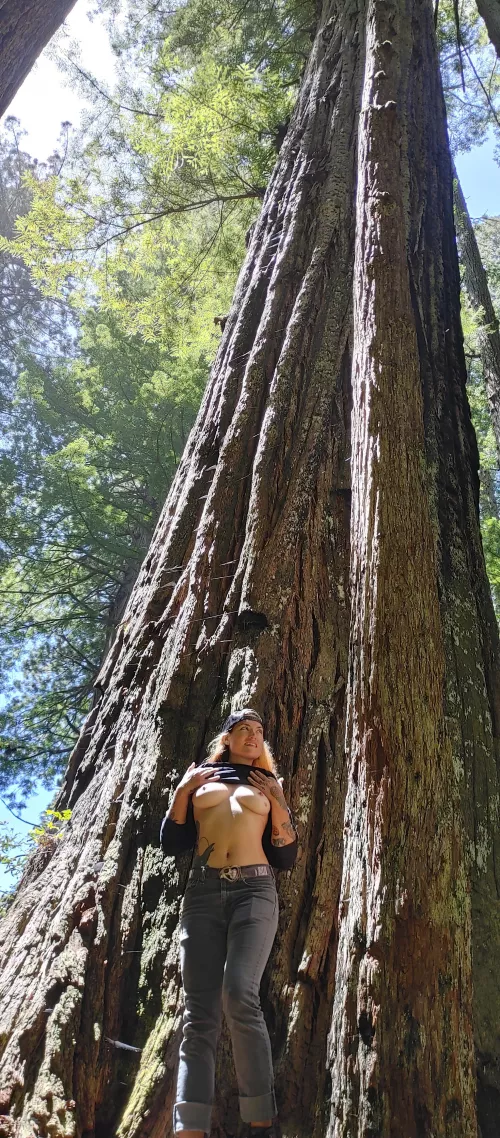 Tits out in the trees