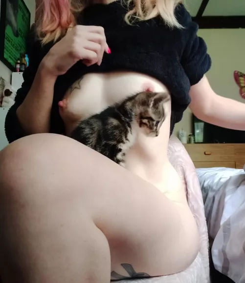 Titties and a kitten π Titties and a kitten π