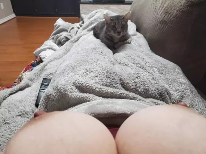 Titties and kitty