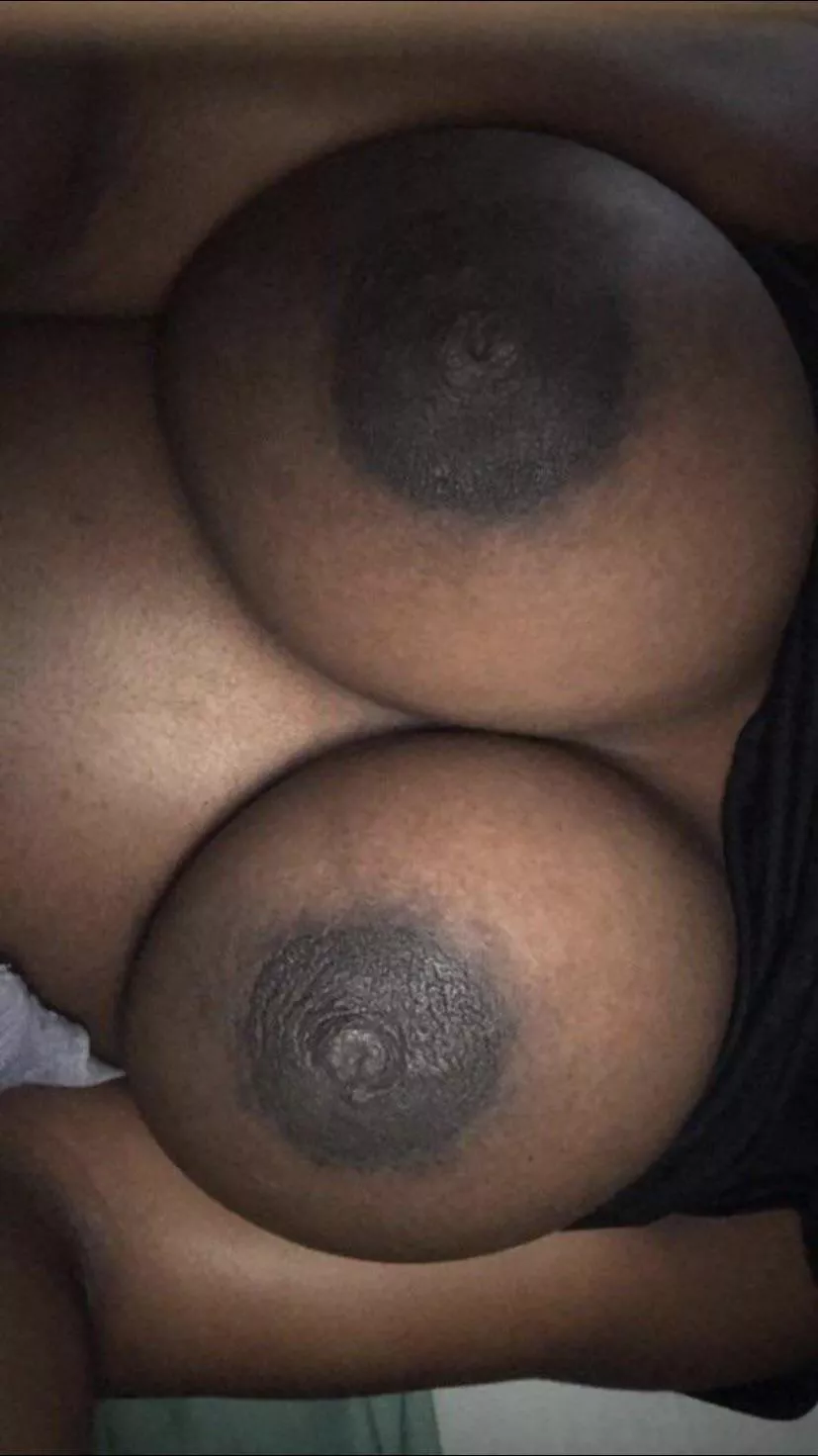 titty tuesday titty tuesday