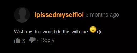 to have context I found this on a furry porn video