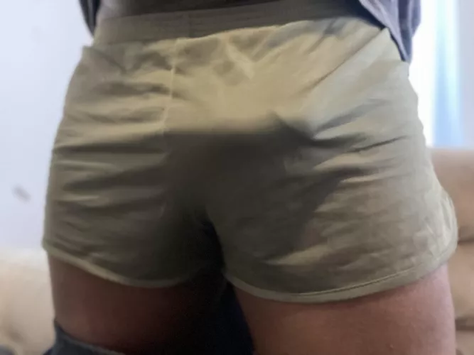 ⬆️ to show silkie love