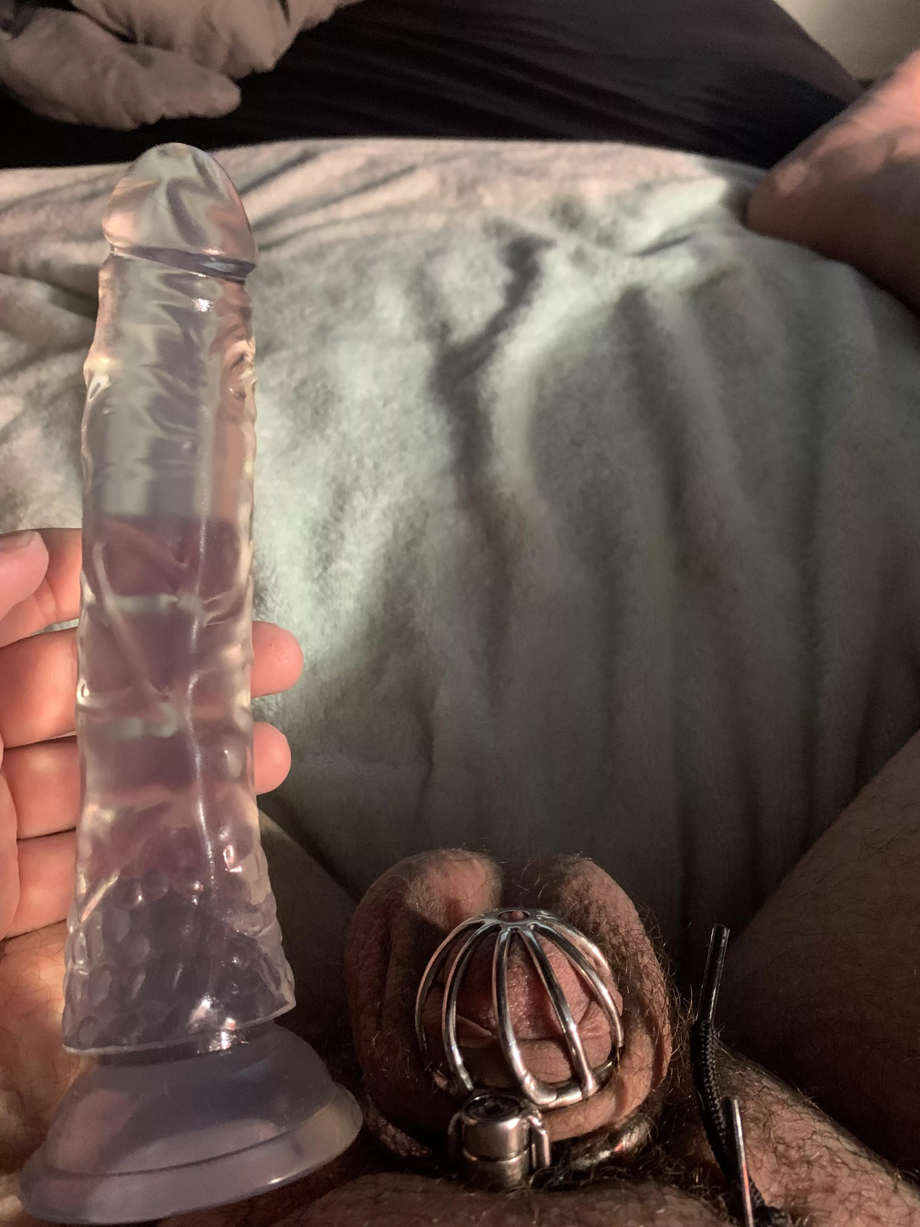 Today is the first time I’ve been able to take all seven inches. Very exciting