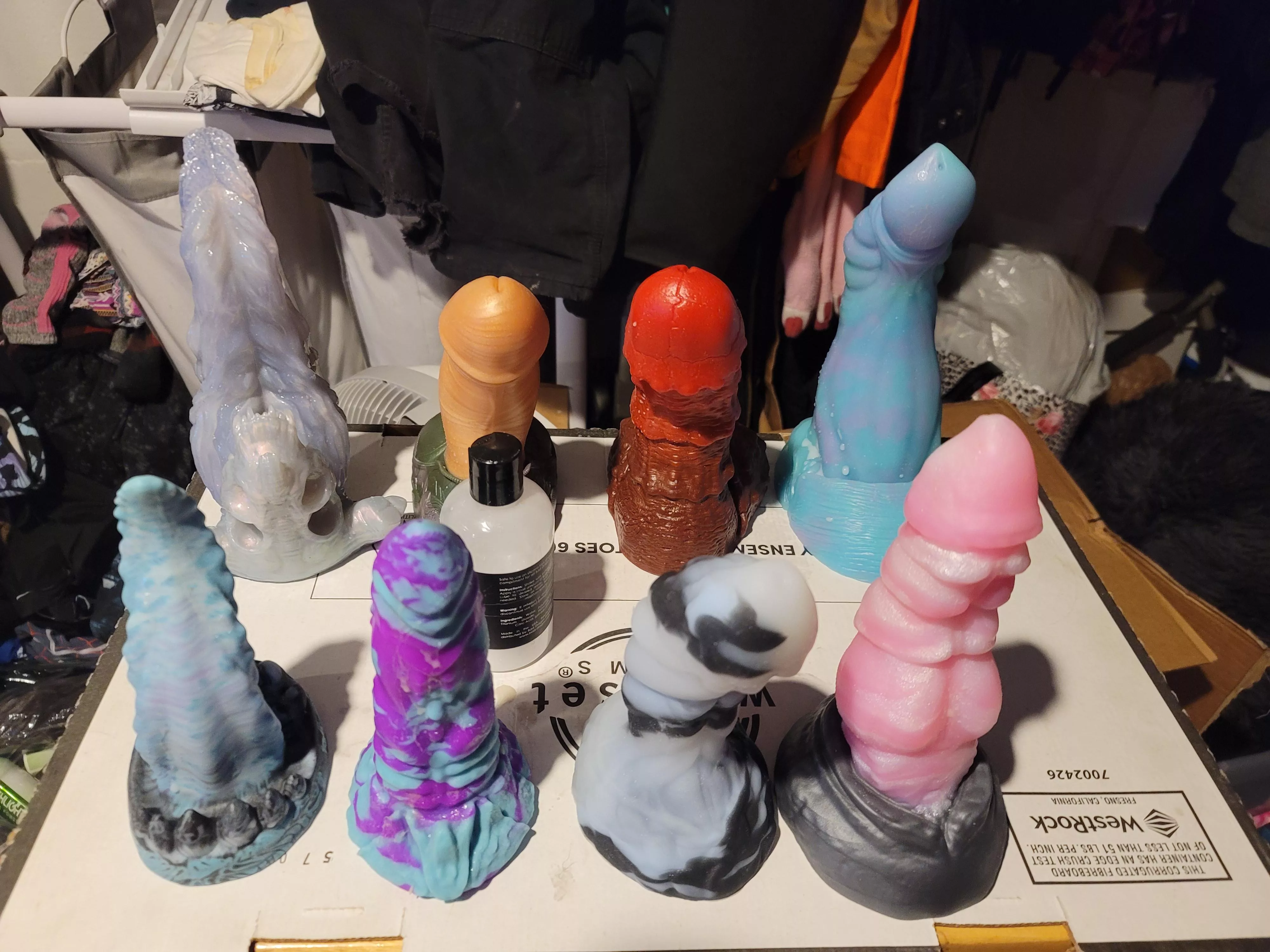 Today's playdate: medium/soft xenom, small/soft Clayton, medium/soft Cortez, medium/soft Nova, large/medium Ludwig, small/medium John, small/soft Baron, large/medium trent